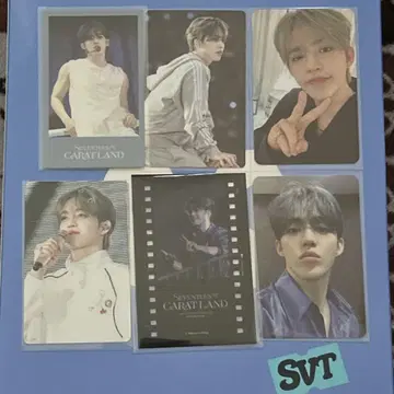 SEVENTEEN 에스쿱스 묶음 판매 6장