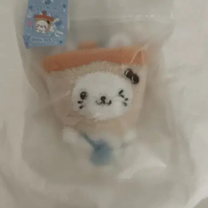 NCT | 엔시티 Sealed) Bubble Cat Wishdoll Nct Wish YuuShi on