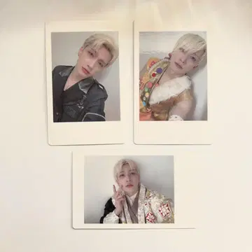 팬더드래곤 요우타 하피카