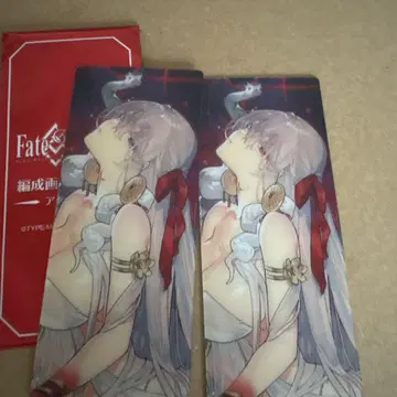 아르주나 얼터 FGO 최종 재림전