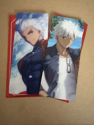 아처 에미야 FGO 최종 재림전