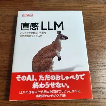 직감 LLM : 핸즈온으로 작동하며 배우는 대규모 언어 모델 입문