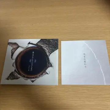 패배자에게 앵콜은 필요 없어 초회 한정판