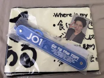 SurviveFES JO1 굿즈 킨죠 스카이