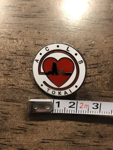 새상품 ACLS 핀 배지