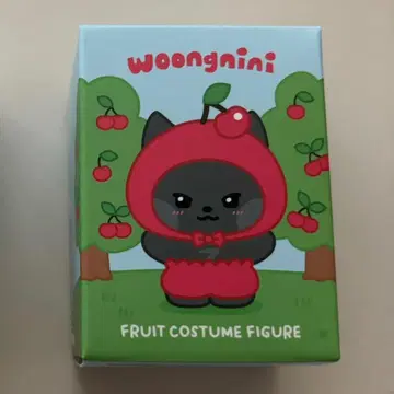zeroni woongnini 후르츠 코스튬 피규어