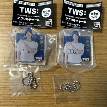 TWS 아크릴 참 SHINYU 시뉴 캡슐 토이 가챠가챠