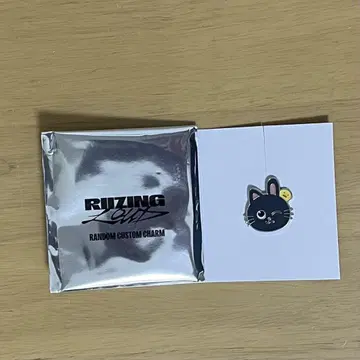 RIIZE 콘서트 랜덤 커스텀 참 [원빈]
