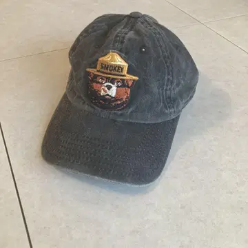 AMERICAN NEEDLE 스모키 베어 캡 Smokey Bear