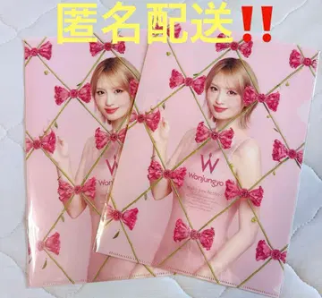 원정요 모모 파일 2개