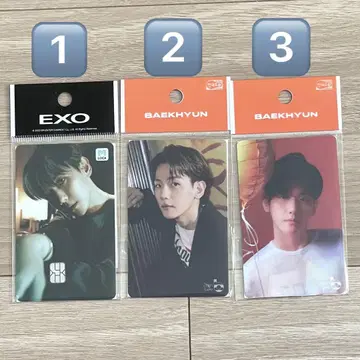 EXO 백현 Baekhyun 교통카드