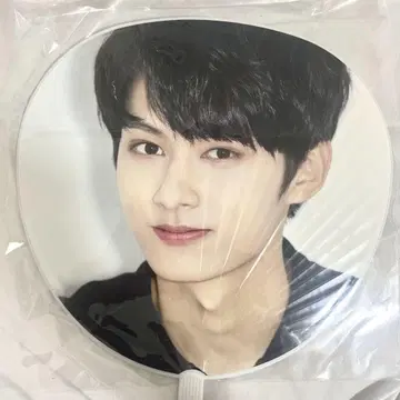 DIAMOND EDGE 2017 SEVENTEEN 준 부채