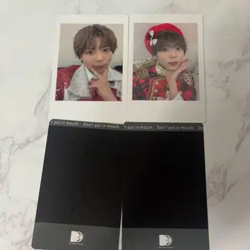 파치 팬더드래곤 하피카