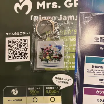 Mrs. GREEN APPLE 아크릴 키홀더