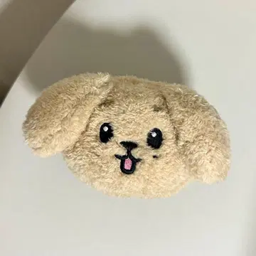 MINITEEN 코인 파우치 도어 도겸