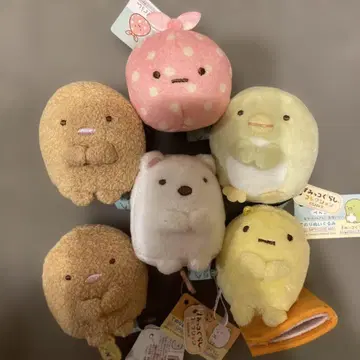 스미코구라시 손바닥 봉제인형 돈카츠 후로시키 펭귄? 시로쿠마