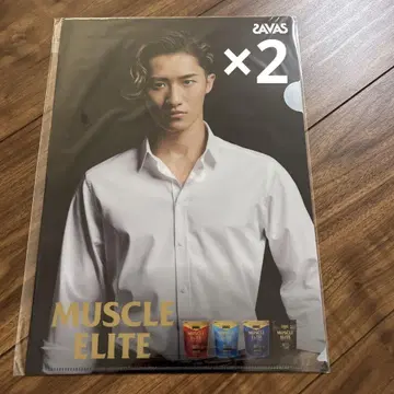 자바스 오리지널 클리어 파일 2매 이와모토 히카루