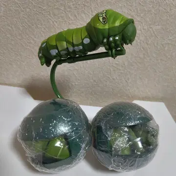 생물대도감 가챠가챠 애벌레