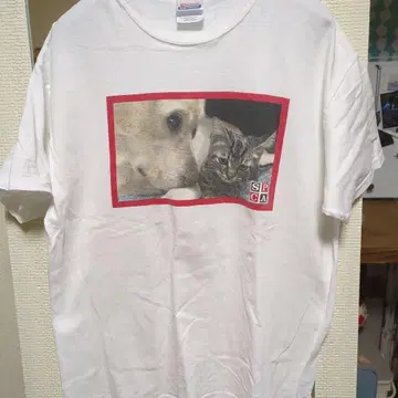 애니멀 T 강아지와 고양이 사진 티셔츠 Hanes L