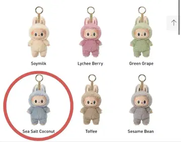 [ 새상품 ] 러브브 마카롱 sea salt coconut Labubu