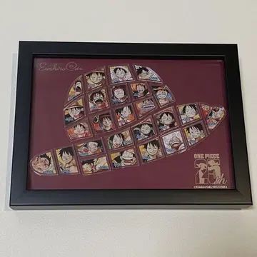 ONE PIECE 연재 25주년 기념 밀짚모자 액자 핀즈 세트 루피