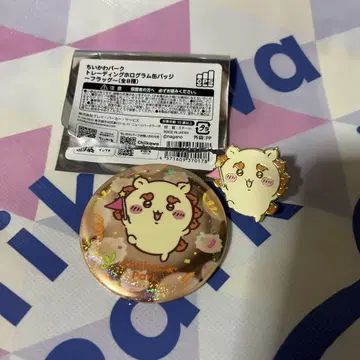치이카와 파크 시사