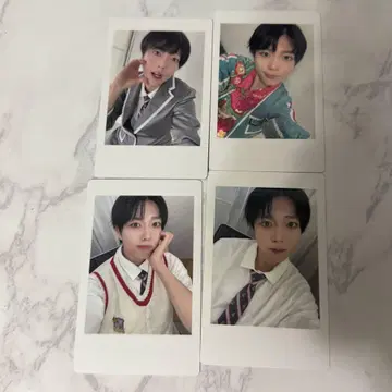 팟치 하피카 팬더드래곤