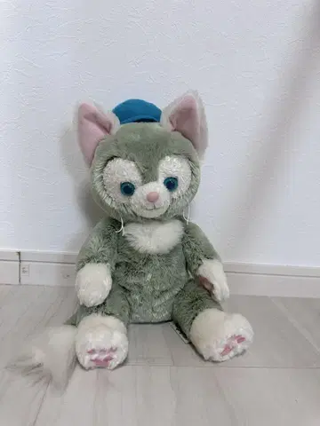 젤라토니 파란 모자
