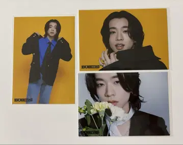 BUDDiiS 브로마이드 SHOOT