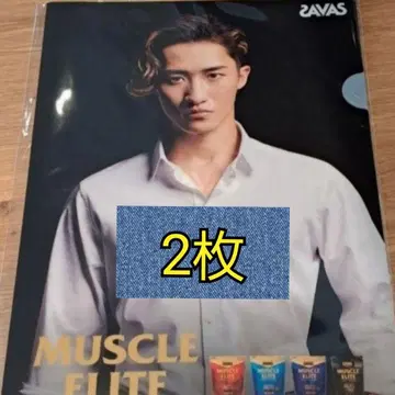 자바스 이와모토 히카루 클리어 파일 2매