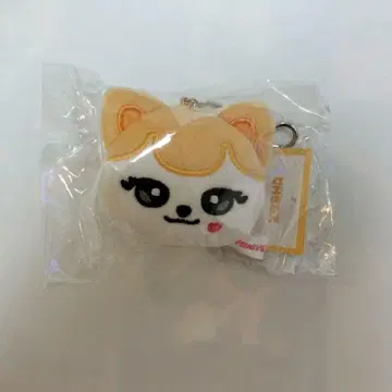 IVE MINIVE 미니브 페이스 치즈