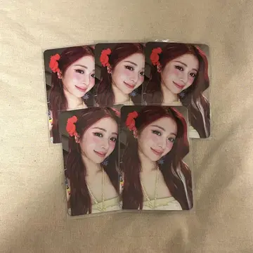 윤진 shopee easy kpopmerch 5장 세트 트레이딩 카드