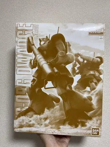 MG 1/100 도왓지