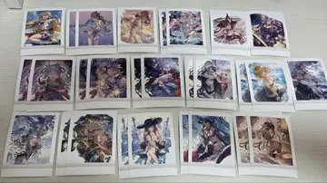 그랑블루 판타지 그라부루 파샤코레 여성 캐릭터 세트