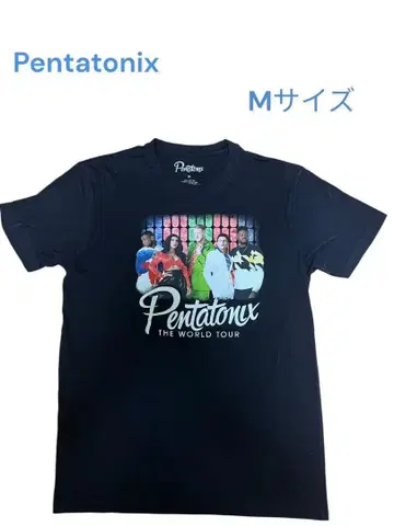 PENTATONIX 펜타토닉스 투어 티셔츠 밴드 M 사이즈 서양 POP