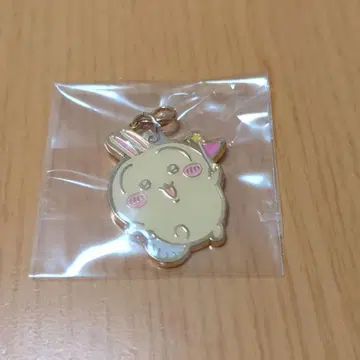 치이카와 파크 토끼 참