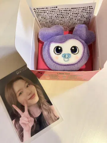 TWICE 봉제 인형 반지 사브리 사나