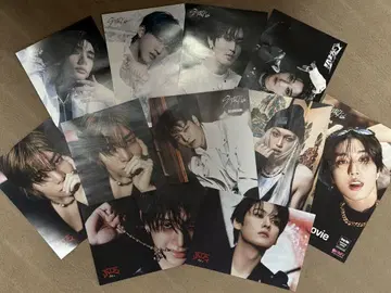 Stray Kids 플라이어 11장