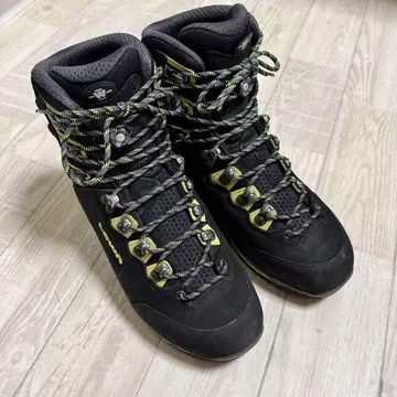 LOWA TICAM EVO GTX W