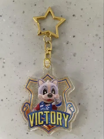 반포레 고후 VICTORY 골드 라메 아크릴 키링 반쿤