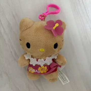 일광화상 키티 하와이