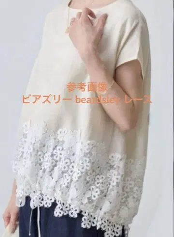 BEARDSLEY 비어즐리 아이보리