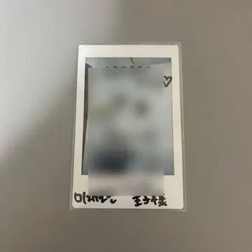 MIRAE 리안 사인폴라15 스노프리