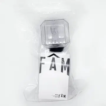 [ 사용 ] timelesz 타임레스 2025 FAM 응원봉