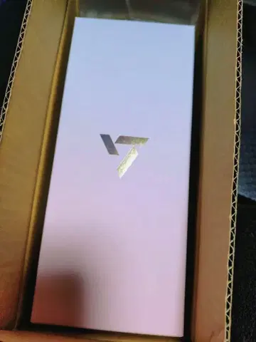SEVENTEEN 응원봉 10주년