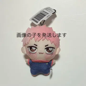주술회전 이타도리 유우지 쬬피누이푸치