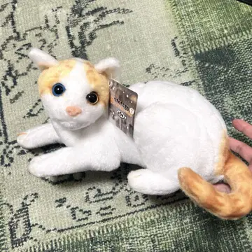 오드아이 고양이 봉제 인형 리얼 고양이