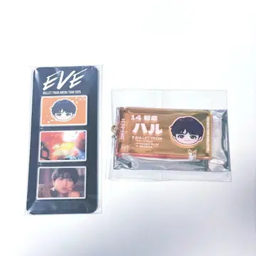 [익명 배송] 초특급 하루 EVE 티켓 키링 포토 그레이 파츠