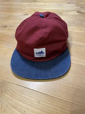 Patagonia 레인지 캡