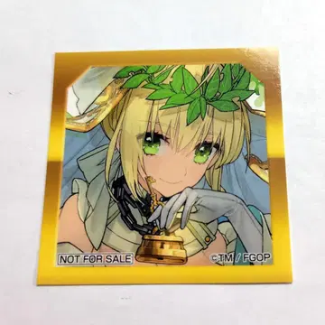 FGO 최종 재림전 입장 혜택 네로 브라이드